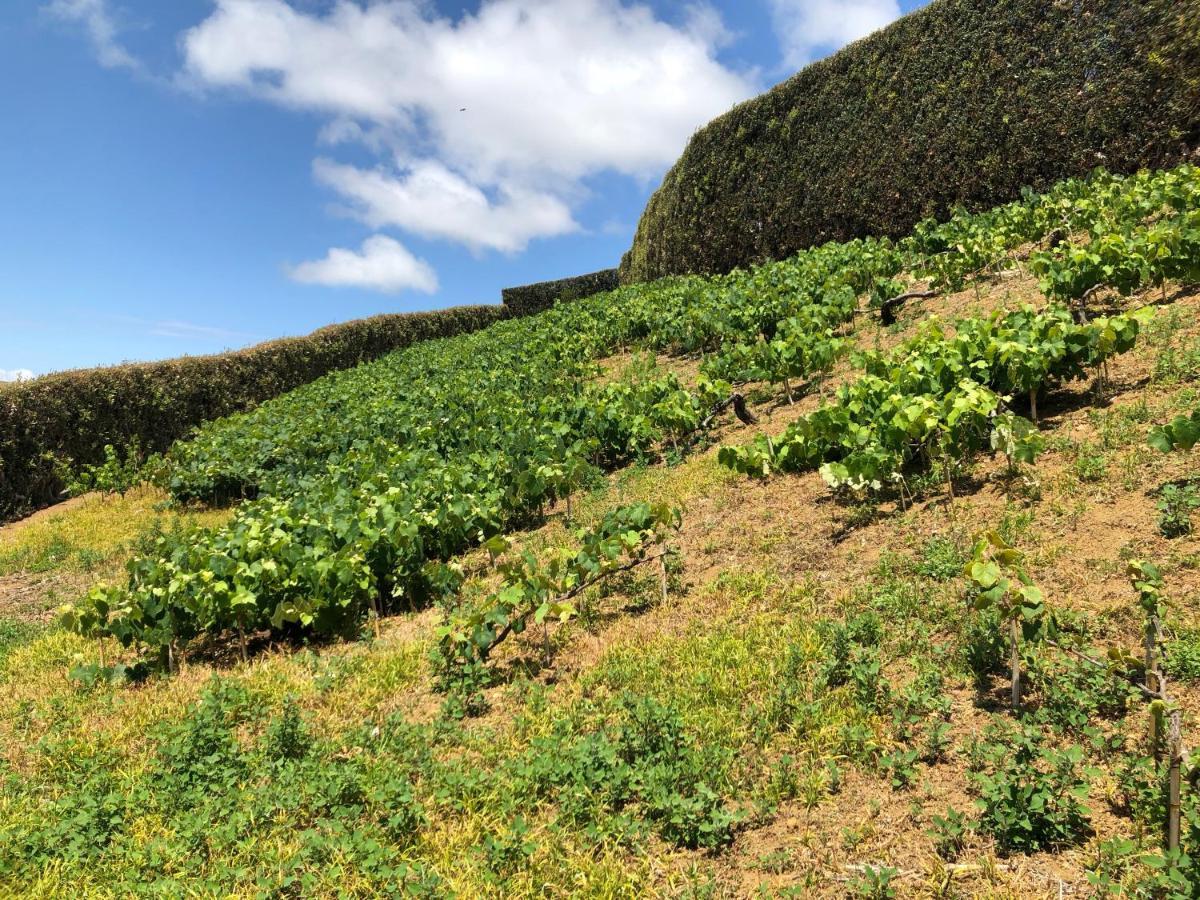 Quinta Do Pico Villa Ponta Delgada Exterior foto